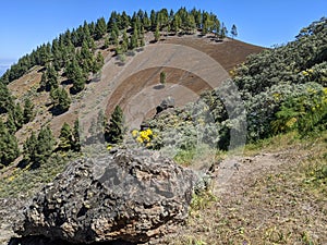 Volcanic ash mountain on the island of Gran Canaria in Spain