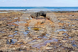 Volcanic black rock - Flinders