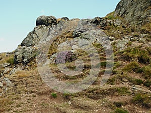 volcanic bomb heathers hill moutain blue sky scotland