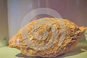 A volcanic bomb stone specimen with grain noise background. Volcanic bomb is a mass of molten rock formed when a volcano ejects v