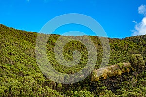 Volcanic crater with fluor green vegetation photo