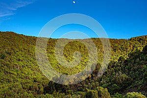 Volcanic crater with fluor green vegetation and moon