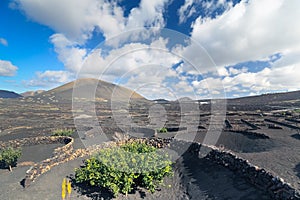 Volcanic desert landscape, Lanzarote island - Timanfaya - Canary Islands - Spain