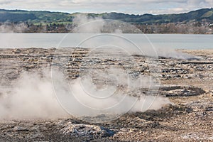 Volcanic fumaroles at lake Rotorua