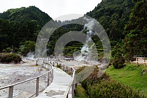 Volcanic hotsprings Of The Lake Furnas in Sao Miguel, Azores.