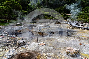 Volcanic hotsprings Of The Lake Furnas in Sao Miguel, Azores.