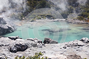 Volcanic lake at waimangu