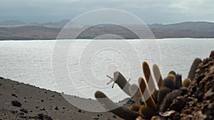 volcanic landscape of Bartolome Island, Galapagos Islands