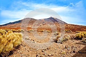 Volcanic landscape, Island Tenerife, Canary Islands, Spain, Europe photo