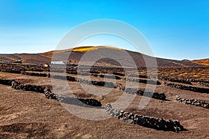 Volcanic landscape, La Geria, Island Lanzarote, Canary Islands, Spain, Europe