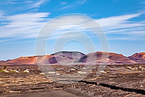 Volcanic landscape, La Geria, Island Lanzarote, Canary Islands, Spain, Europe