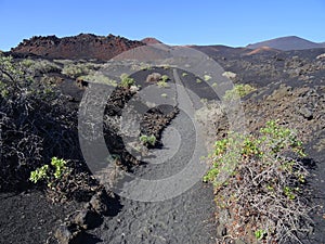 Volcanic landscape in La Palma Island. Spain.