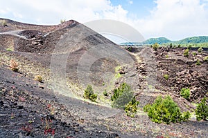 Volcanic landscape with old craters of Etna mount