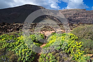 Volcanic landscape, Orzola, Lanzarote