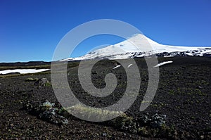Volcanic landscape, Rare vegetation on dark pyroclastic material on mountainside of snow capped Villarrica volcano
