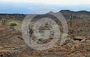 Volcanic landscape, Sierra Negra, Galapagos. photo