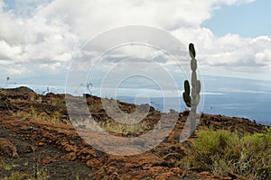 Volcanic landscape, Sierra Negra, Galapagos. photo