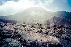 Volcanic landscape, Teide, Tenerife