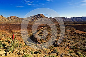 Volcanic landscape of the Teide Volcano National Park