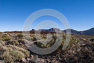 Volcanic Landscape (Tenerife, Canaries, Spain)