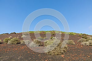 Volcanic landscape in timanfaya national park, Lanzarote