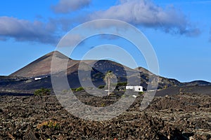 A volcanic landscape with a white house and a palm tree in front. Lanzarote , Spain