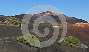 Volcanic landscapes of Lanzarote