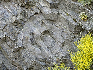 Volcanic lava rocks pentagram columns. Bulgaria