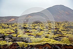 Volcanic moss landscape with volcano in background
