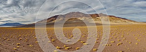 Volcanic mountains panorama in the desert of Atacama