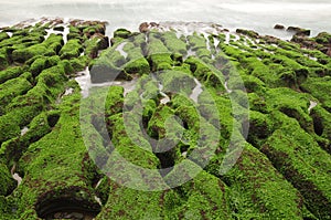 Volcanic reef formation of tidal creeks. photo