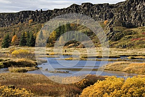 Volcanic Rift Valley - Pingvellir - Iceland