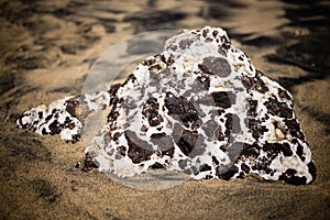 Volcanic rock close-up.