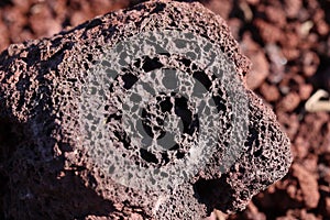 Volcanic rock. Close-up of porous structure of stone