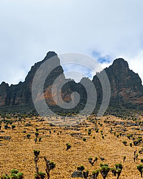 Volcanic rock formations against a blue sky, Mount Kenya