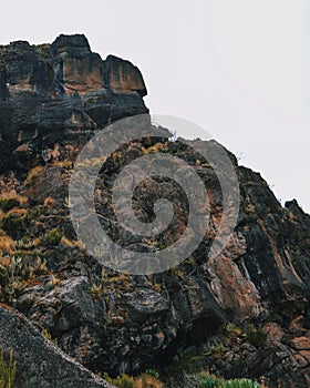 Volcanic rock formations against a foggy background, Mount Kenya