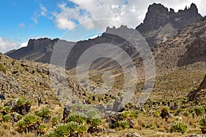 Volcanic rock formations against a mountain background