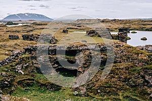 Volcanic rock formations in Lake Myvatn in Northern Iceland