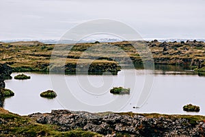 Volcanic rock formations in Lake Myvatn in Northern Iceland