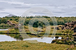 Volcanic rock formations in Lake Myvatn in Northern Iceland