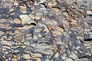 Volcanic rock with pores