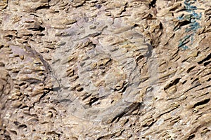 Volcanic rock with pores