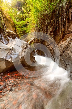 Volcanic Rock River Bed