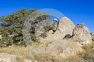 Volcanic Rocks