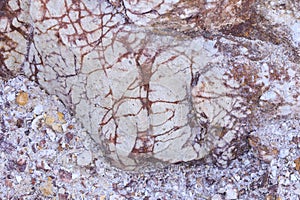 Volcanic rocks, Ignimbrite with Jarosite and Goethite in Almeria