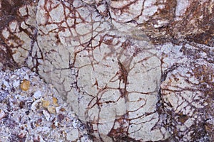 Volcanic rocks, Ignimbrite with Jarosite and Goethite in Almeria