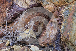 Volcanic rocks, Ignimbrite with Jarosite and Goethite in Almeria