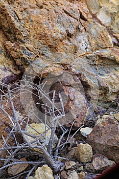 Volcanic rocks, Ignimbrite with Jarosite and Goethite in Almeria