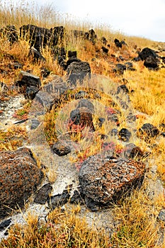 Volcanic rocks at salt lake in Colac, Victoria