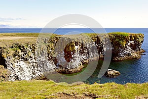 Volcanic sea cliffs nesting site